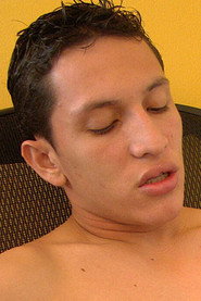 Nestor