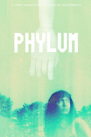 Phylum