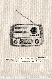 Promise to never go suddenly silent, little radio box
