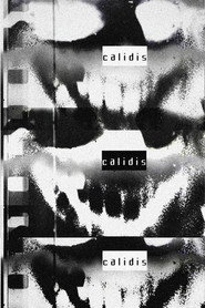 Calidis