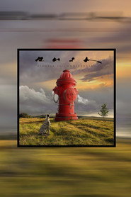 Rush: Signals (40th Anniversary Edition)