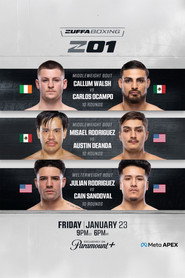 Zuffa Boxing 01