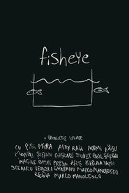 fisheye