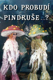 Kdo probudí Pindruše...?