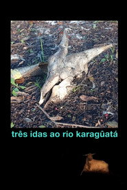 Três idas ao Rio Karagûatá