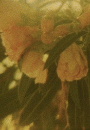 Seasons/Patterns