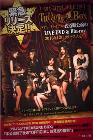 T-ARA Japan Tour 2013 - Treasure Box- 2nd TOUR FINAL In Budokan