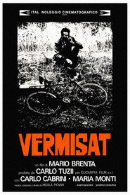 Vermisat