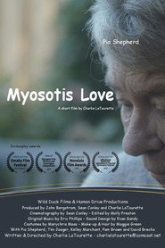 Myosotis Love
