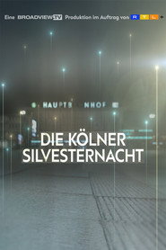 New Year's Eve in Cologne - The Consequences of one Night