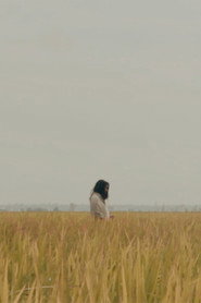 The Lost Piece