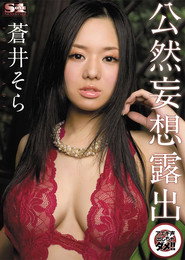 SOE-556 Public Fantasy Display : Don't Moan So Loud! Sola Aoi