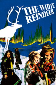 The White Reindeer