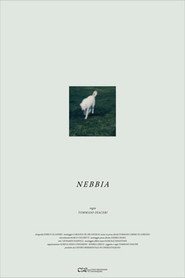Nebbia