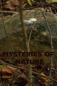 Mysteries of Nature