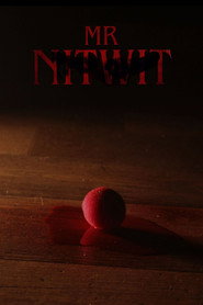 Mr Nitwit