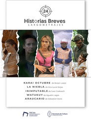Historias Breves 24