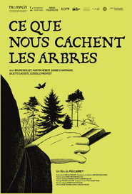 Ce que nous cachent les arbres