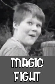Magic Fight