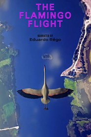 O Voo do Flamingo