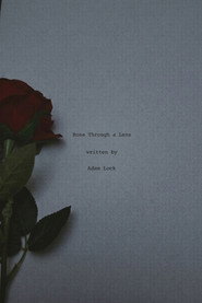 Rose Through A Lens