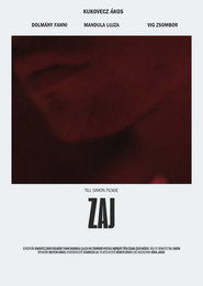 Zaj
