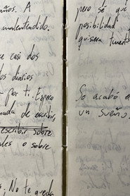 Releyendo mi diario (Autorretrato)