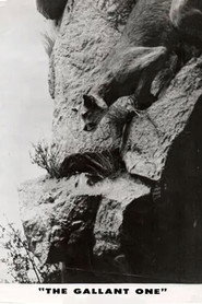 The Gallant One