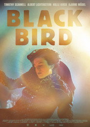 Blackbird