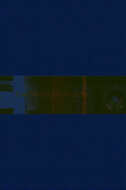 The Memory Pencils Live