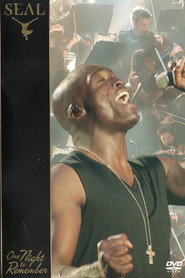 Seal: One Night To Remember