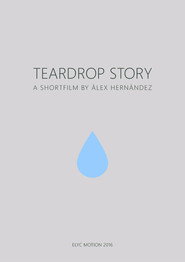Teardrop Story