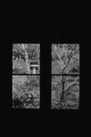 In and Out a Window