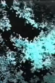 9006