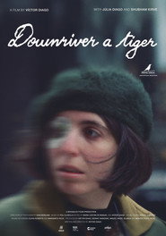 Downriver a tiger