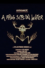 A Frog Sits In Water
