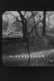 Diákszerelem