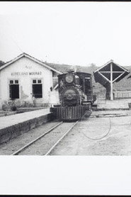 Prolongamento da Estrada de Ferro Oeste de Minas