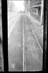 Straight Line (Stevens Duke)