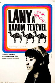 The Girl with Three Camels
