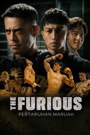 The Furious: Pertaruhan Maruah