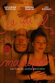 Ce qu'il manque