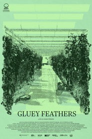 Gluey Feathers