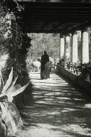 The Servant