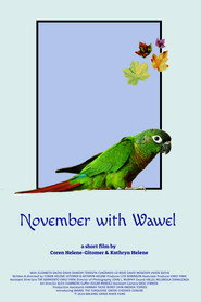 November with Wawel
