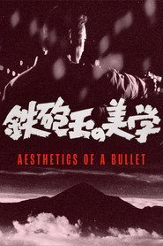Aesthetics of a Bullet