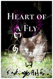Heart of a Fly
