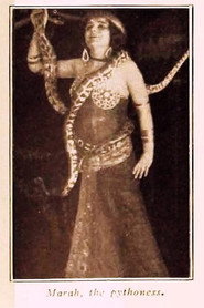 Marah, the Pythoness