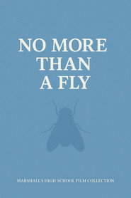NO MORE THAN A FLY