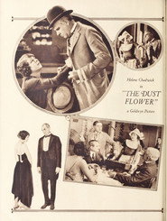 The Dust Flower